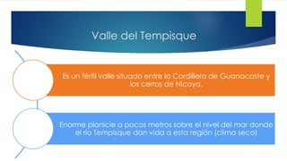 Valle del Tempisque
Es un fértil valle situado entre la Cordillera de Guanacaste y
los cerros de Nicoya.
Enorme planicie a pocos metros sobre el nivel del mar donde
el río Tempisque dan vida a esta región (clima seco)
 
