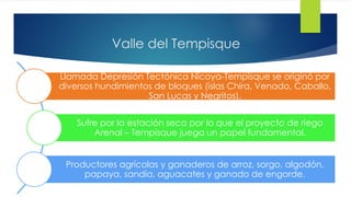 Valle del Tempisque
Llamada Depresión Tectónica Nicoya-Tempisque se originó por
diversos hundimientos de bloques (islas Chira, Venado, Caballo,
San Lucas y Negritos).
Sufre por la estación seca por lo que el proyecto de riego
Arenal – Tempisque juega un papel fundamental.
Productores agrícolas y ganaderos de arroz, sorgo, algodón,
papaya, sandía, aguacates y ganado de engorde.
 