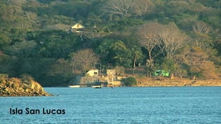 Isla San Lucas
 