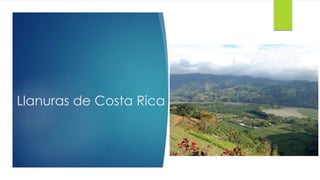 Llanuras de Costa Rica
 