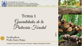 Unidad Curricular Protección Forestal - Módulo Patología Forestal
1
Tema 1
Generalidades de la
Protección Forestal
Facilitadora:
Profa. Katty Rojas
Universidad de Los Andes
Facultad de Ciencias Forestales y Ambientales
Instituto de Investigaciones Agropecuarias (IIAP)
Escuela Técnica Superior Forestal (ETSUFOR)
13
 