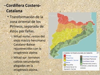 –Cordillera Costero-
Catalana
 Transformación de la
zona oriental de los
Pirineos, separada de
éstos por fallas.
o Mitad norte: restos del
viejo macizo herciniano
Catalano-Balear
rejuvenecidos con la
orogénesis alpina.
o Mitad sur: terrenos
calizos secundarios
plegados en la
orogénesis alpina.
 