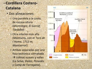–Cordillera Costero-
Catalana
 Dos alineaciones:
o Una paralela a la costa,
de escasa altura
(Montnegre, El Garraf,
Tibidabo)
o Otra interior más alta
(Montseny, con el Turó de
l´Home, 1712 m;
Montserrat).
o Ambas separadas por una
fosa tectónica colmatada
 colinas suaves y valles
(La Selva, Vallés, Penedés
y Camp de Tarragona).
 