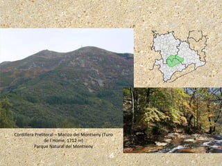 Cordillera Prelitoral – Macizo del Montseny (Turo
de l´Home, 1712 m)
Parque Natural del Montseny
 