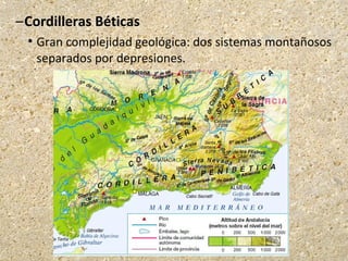 –Cordilleras Béticas
 Gran complejidad geológica: dos sistemas montañosos
separados por depresiones.
 