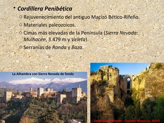 La Alhambra con Sierra Nevada de fondo
Serranía de Ronda – Puente Nuevo (s. XVIII)
 Cordillera Penibética
o Rejuvenecimiento del antiguo Macizo Bético-Rifeño.
o Materiales paleozoicos.
o Cimas más elevadas de la Península (Sierra Nevada:
Mulhacén, 3.479 m y Veleta).
o Serranías de Ronda y Baza.
 