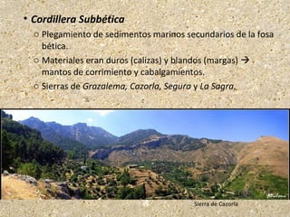  Cordillera Subbética
o Plegamiento de sedimentos marinos secundarios de la fosa
bética.
o Materiales eran duros (calizas) y blandos (margas) 
mantos de corrimiento y cabalgamientos.
o Sierras de Grazalema, Cazorla, Segura y La Sagra.
Sierra de Cazorla
 
