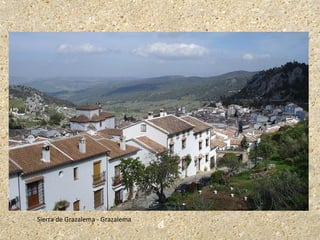 Sierra de Grazalema - Grazalema
 