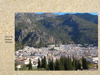 Sierra de
Ubrique -
Ubrique
 