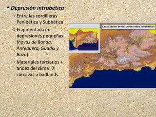  Depresión intrabética
o Entre las cordilleras
Penibética y Subbética
o Fragmentada en
depresiones pequeñas
(hoyas de Ronda,
Antequera, Guadix y
Baza).
o Materiales terciarios +
aridez del clima 
cárcavas o badlands.
 