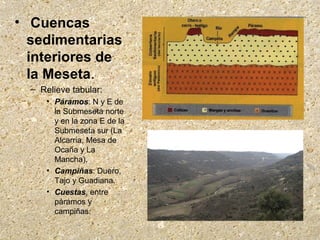 • Cuencas
sedimentarias
interiores de
la Meseta.
– Relieve tabular:
• Páramos: N y E de
la Submeseta norte
y en la zona E de la
Submeseta sur (La
Alcarria, Mesa de
Ocaña y La
Mancha).
• Campiñas: Duero,
Tajo y Guadiana.
• Cuestas, entre
páramos y
campiñas.
 