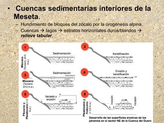 • Cuencas sedimentarias interiores de la
Meseta.
– Hundimiento de bloques del zócalo por la orogénesis alpina.
– Cuencas  lagos  estratos horizontales duros/blandos 
relieve tabular.
 