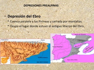 DEPRESIONES PREALPINAS
– Depresión del Ebro
 Cuenca paralela a los Pirineos y cerrada por montañas.
 Ocupa el lugar donde estuvo el antiguo Macizo del Ebro.
 