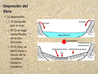 –Depresión del
Ebro
 La depresión:
o 1º Ocupada
por el mar.
o 2º Gran lago
hasta finales
de la Era
Terciaria
o 3º El Ebro se
abrió paso a
través de la
cordillera
Costero-
Catalana.
Erosión
Erosión
Agua Marina
Colmatación
Río
Piedemontes o
somontanos
Sedimentos gruesosSedimentos finos
 