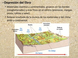 –Depresión del Ebro
 Materiales marinos y continentales, gruesos en los bordes
(conglomerados) y más finos en el centro (areniscas, margas,
yesos, calizas y sales).
 Relieve resultado de la dureza de los materiales y del clima
árido y continental.
 