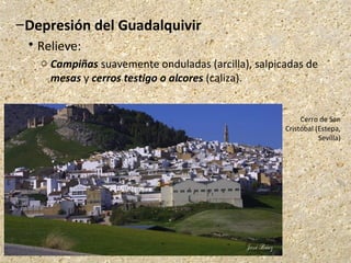 –Depresión del Guadalquivir
 Relieve:
o Campiñas suavemente onduladas (arcilla), salpicadas de
mesas y cerros testigo o alcores (caliza).
Cerro de San
Cristóbal (Estepa,
Sevilla)
 