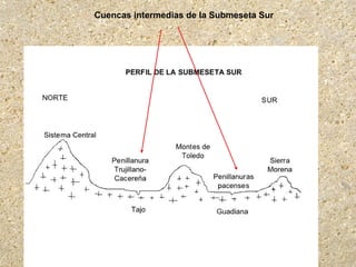 Cuencas intermedias de la Submeseta Sur
 