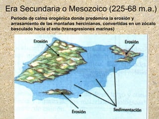 Era Secundaria o Mesozoico (225-68 m.a.)
Periodo de calma orogénica donde predomina la erosión y
arrasamiento de las montañas hercinianas, convertidas en un zócalo
basculado hacia el este (transgresiones marinas)
 