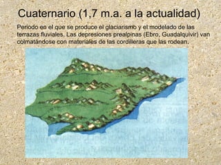 Cuaternario (1,7 m.a. a la actualidad)
Periodo en el que se produce el glaciarismo y el modelado de las
terrazas fluviales. Las depresiones prealpinas (Ebro, Guadalquivir) van
colmatándose con materiales de las cordilleras que las rodean.
 