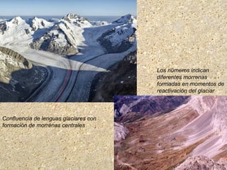 Confluencia de lenguas glaciares con
formación de morrenas centrales
Los números indican
diferentes morrenas
formadas en momentos de
reactivación del glaciar
 