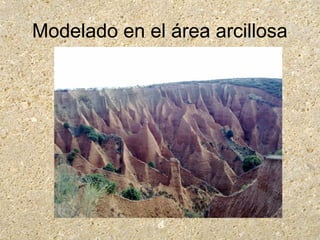 Modelado en el área arcillosa
 