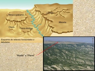 Esquema de relieves horizontales o
tabulares
“Muela” o “Plana”
 