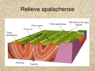 Relieve apalachense
 