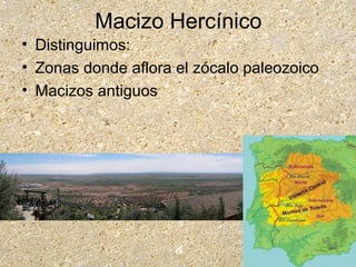 Macizo Hercínico
• Distinguimos:
• Zonas donde aflora el zócalo paleozoico
• Macizos antiguos
 