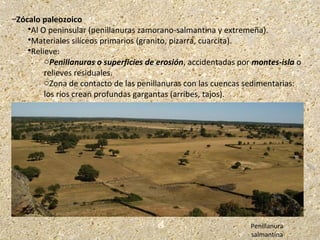 –Zócalo paleozoico
Al O peninsular (penillanuras zamorano-salmantina y extremeña).
Materiales silíceos primarios (granito, pizarra, cuarcita).
Relieve:
oPenillanuras o superficies de erosión, accidentadas por montes-isla o
relieves residuales.
oZona de contacto de las penillanuras con las cuencas sedimentarias:
los ríos crean profundas gargantas (arribes, tajos).
Penillanura
salmantina
 