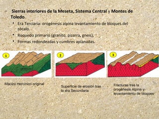 – Sierras interiores de la Meseta, Sistema Central y Montes de
Toledo.
 Era Terciaria: orogénesis alpina levantamiento de bloques del
zócalo.
 Roquedo primario (granito, pizarra, gneis),
 Formas redondeadas y cumbres aplanadas.
1 2 3
Macizo Hercínico original
Superficie de erosión tras
la era Secundaria
Fracturas tras la
orogénesis Alpina y
levantamiento de bloques
 