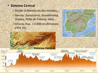  Sistema Central
oDivide la Meseta en dos mitades.
oSierras: Somosierra, Guadarrama,
Gredos, Peña de Francia, Gata…
oAlturas max. > 2.000 m (Almanzor,
2591 m).
 