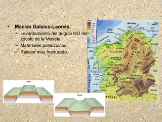 • Macizo Galaico-Leonés.
– Levantamiento del ángulo NO del
zócalo de la Meseta.
– Materiales paleozoicos.
– Relieve muy fracturado.
 