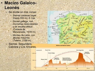 • Macizo Galaico-
Leonés
– Se divide en tres zonas:
• Sierras costeras bajas
(hasta 500 m)  rías
• Dorsal gallega, con
montañas redondeadas
y de escasa altitud
(Cabeza de
Manzaneda, 1778 m);
• Montes de León, con
alturas mayores
(Teleno, 2188 m).
– Sierras: Segundera,
Cabrera y Los Ancares.
 