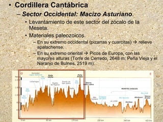 • Cordillera Cantábrica
– Sector Occidental: Macizo Asturiano.
• Levantamiento de este sector del zócalo de la
Meseta.
• Materiales paleozoicos.
– En su extremo occidental (pizarras y cuarcitas)  relieve
apalachense.
– En su extremo oriental  Picos de Europa, con las
mayores alturas (Torre de Cerredo, 2648 m; Peña Vieja y el
Naranjo de Bulnes, 2519 m).
 