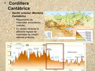 • Cordillera
Cantábrica
– Sector oriental: Montaña
Cantábrica
• Plegamiento de
materiales secundarios
(calizas)
• En ciertos sectores la
diferente dureza de
materiales ha creado
relieves jurásicos.
 