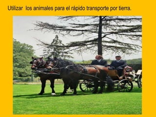 Utilizar los animales para el rápido transporte por tierra.
 