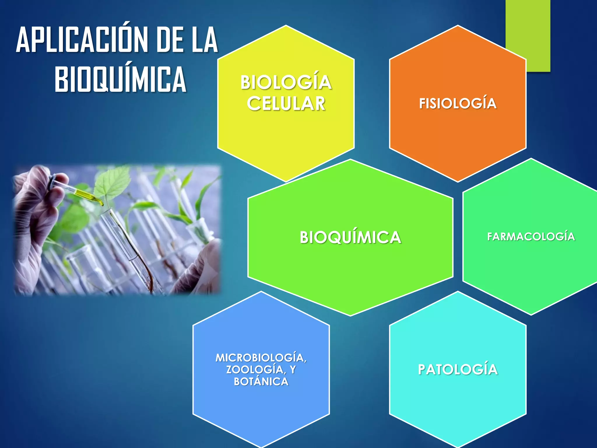 IMPORTANCIA DE LA BIOQUÍMICA EN MEDICINA | PDF | Biological Sciences