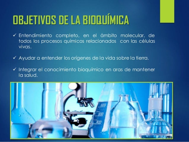 Objetivo De Estudio De La Bioquímica es.slideshare.net