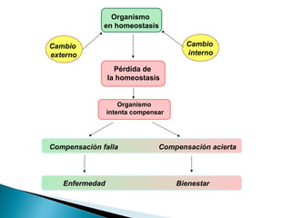 Organismo
en homeostasis
Cambio
interno

Cambio
externo
Pérdida de
la homeostasis

Organismo
intenta compensar

Compensación falla

Enfermedad

Compensación acierta

Bienestar

 