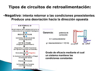 Tipos de circuitos de retroalimentación:

-Negativo: intenta retornar a las condiciones preexistentes.
Produce una desviación hacia la dirección opuesta

Grado de eficacia mediante el cual
un sistema mantiene las
condiciones constantes

 