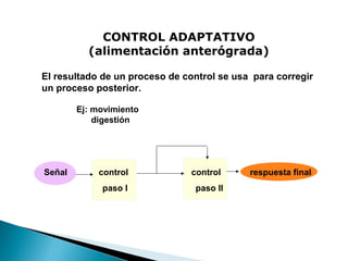 CONTROL ADAPTATIVO
(alimentación anterógrada)
El resultado de un proceso de control se usa para corregir
un proceso posterior.
Ej: movimiento
digestión

Señal

control

control

paso I

paso II

respuesta final

 