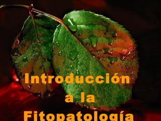 Introducción  a la Fitopatología   