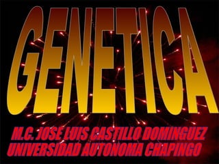 GENETICA M.C. JOSE LUIS CASTILLO DOMINGUEZ UNIVERSIDAD AUTONOMA CHAPINGO 