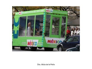 Dra. Alicia de la Peña
 