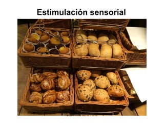 Dra. Alicia de la Peña
Estimulación sensorial
 