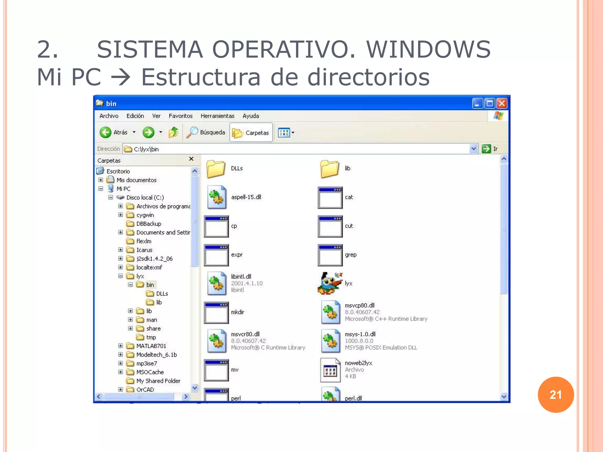 21
2. SISTEMA OPERATIVO. WINDOWS
Mi PC  Estructura de directorios
 