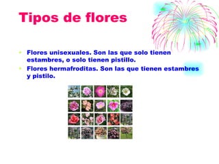 Tipos de flores  Flores unisexuales. Son las que solo tienen estambres, o solo tienen pistillo. Flores hermafroditas. Son las que tienen estambres y pistilo. 