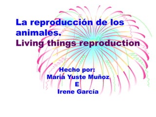 La reproducción de los animales. Living things reproduction Hecho por:  María Yuste Muñoz E  Irene García 