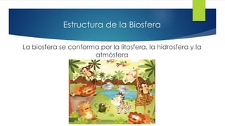 Estructura de la Biosfera
La biosfera se conforma por la litosfera, la hidrosfera y la
atmósfera
 