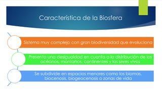 Característica de la Biosfera
Sistema muy complejo con gran biodiversidad que evoluciona
Presenta una desigualdad en cuanto a la distribución de los
océanos, montañas, continentes y los seres vivos
Se subdivide en espacios menores como los biomas,
biocenosis, biogeocenosis o zonas de vida
 